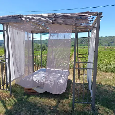 Veritable Mas Provencal Comprenant 3 En Pleine Nature *